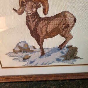 EUC Finished and Framed Cross Stitch Big Horn Sheep